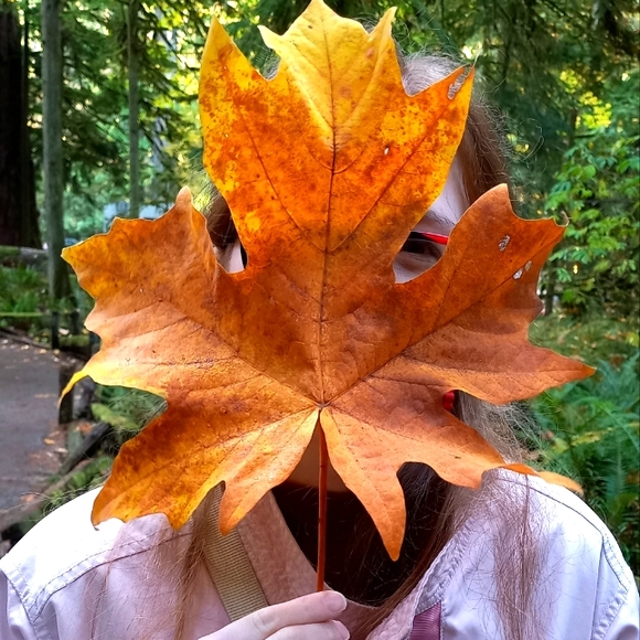 Meet your Posher, Kristen - Picture 1 of 1